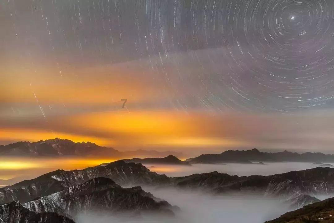 小长颈鹿逃离