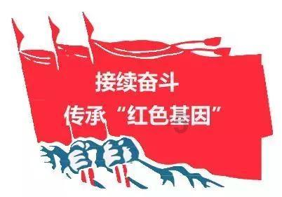 威海高区税务局：深耕精细化服务 绘就税务好“枫”景